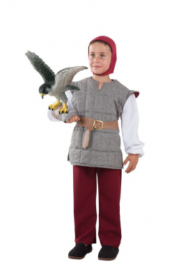 Gray Falconer costume for children