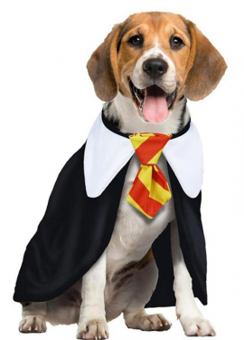 Magic Student Dog Costume
