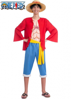 One Piece Luffy costume for men
