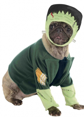 Frankenstein dog costume