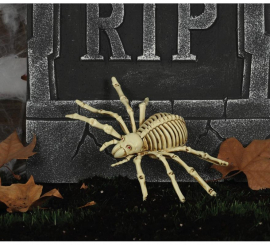 Esqueleto de aranha 24 cm