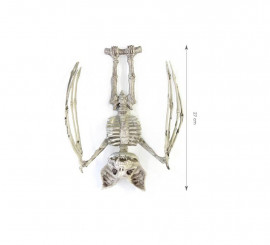 Bat Skeleton Head 27 cm