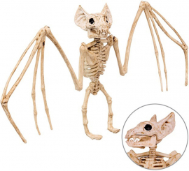 30cm Sinister Bat Skeleton