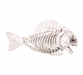 Esqueleto de Piranha 25x7x12 cm