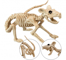 40cm Rat Skeleton
