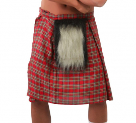 Scottish plaid skirt