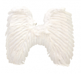 Asas de Anjo Branco 47 x 56 cm