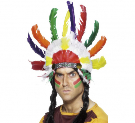 Multicolored Indian Plume