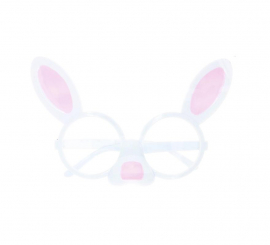 Óculos de coelho com nariz