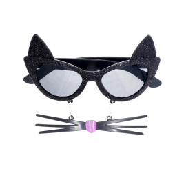 Cat Glasses with Mustache