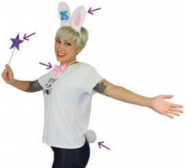 Kit Bunny 25 Anos: Orelhas, Varinha, Laço e Cauda