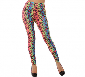 Caneleiras multicoloridas do leopardo