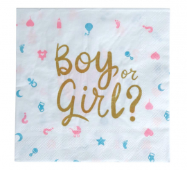 Pack of 12 It's a Boy or it's a Girl Napkins