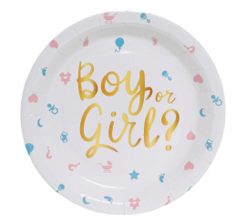 Pack of 6 It's a Boy or it's a Girl Plates