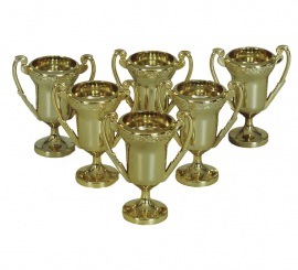 Conjunto de 6 troféus Copos de shot medievais de 6 cm