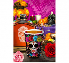Pack of 6 Colorful Catrina Glasses of 240 ml