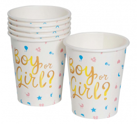 Pack of 6 It's a Boy or it's a Girl Glasses
