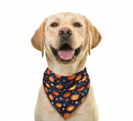 Bandana de abóbora para animais de estimação