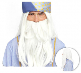 Adult Long Beard Magician Wig