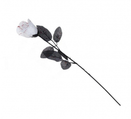 Rosa branca com sangue