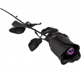 Black Rose with Purple Eye
