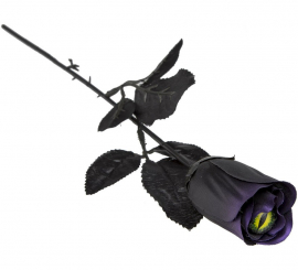 Black Rose with Green Eye