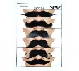Conjunto de 6 modelos variados de bigodes