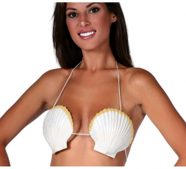 Sutiã de conchas