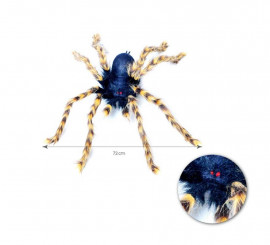 72 cm black and yellow tarantula