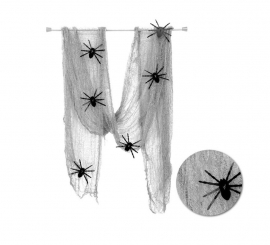 Spider Web with 7 pieces