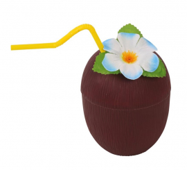 Coconut Glass with Straw and Flower