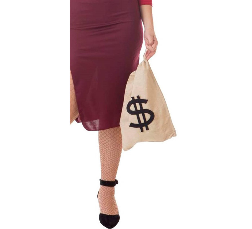 Mochila de ladrão com símbolo de dólar