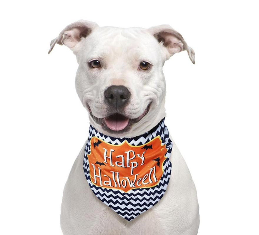 '''Feliz Halloween Bandana para animais de estimação''' '''Feliz Halloween Bandana para animais de estimação'''