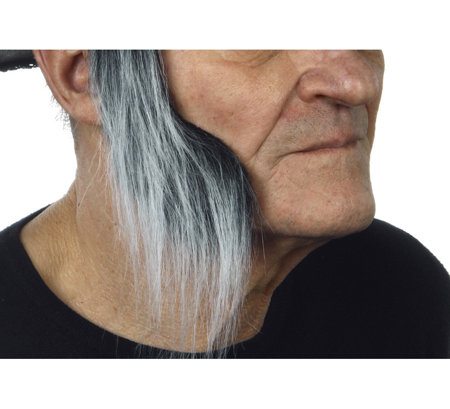 Wide sideburns with gray hair Wide sideburns with gray hair
