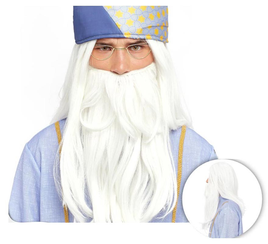 Adult Long Beard Magician Wig