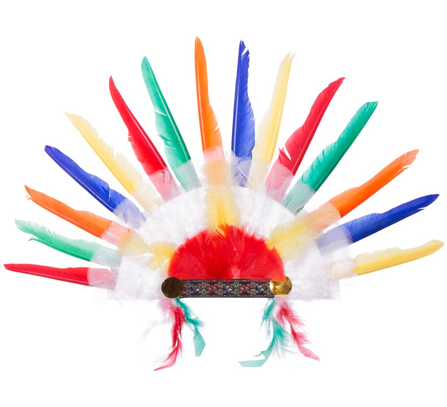 Multicolor Indian Plume of 58x38 cm Multicolor Indian Plume of 58x38 cm