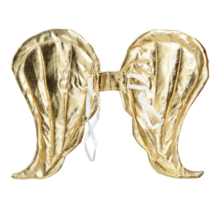 Gold Angel Wings 50x40 cm-B