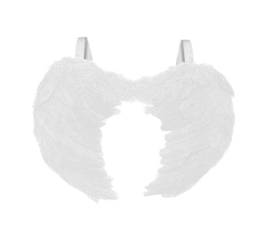 Large Feather Wings of 80x60 cm in various colors-B