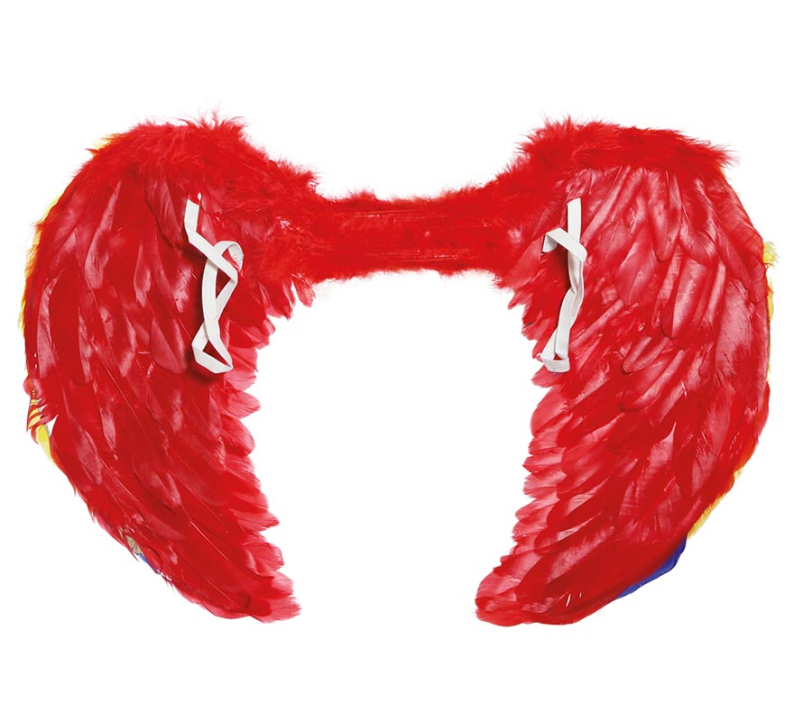 Asas de penas multicoloridas 80 x 50 cm-B