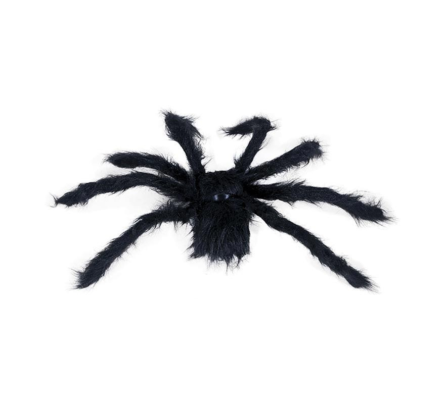 50 cm black hairy spider-B