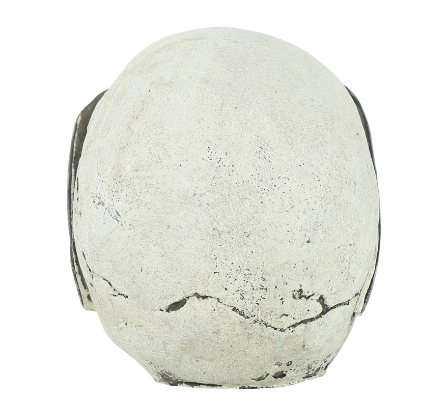 Caveira com Óculos de Resina 11 cm-B