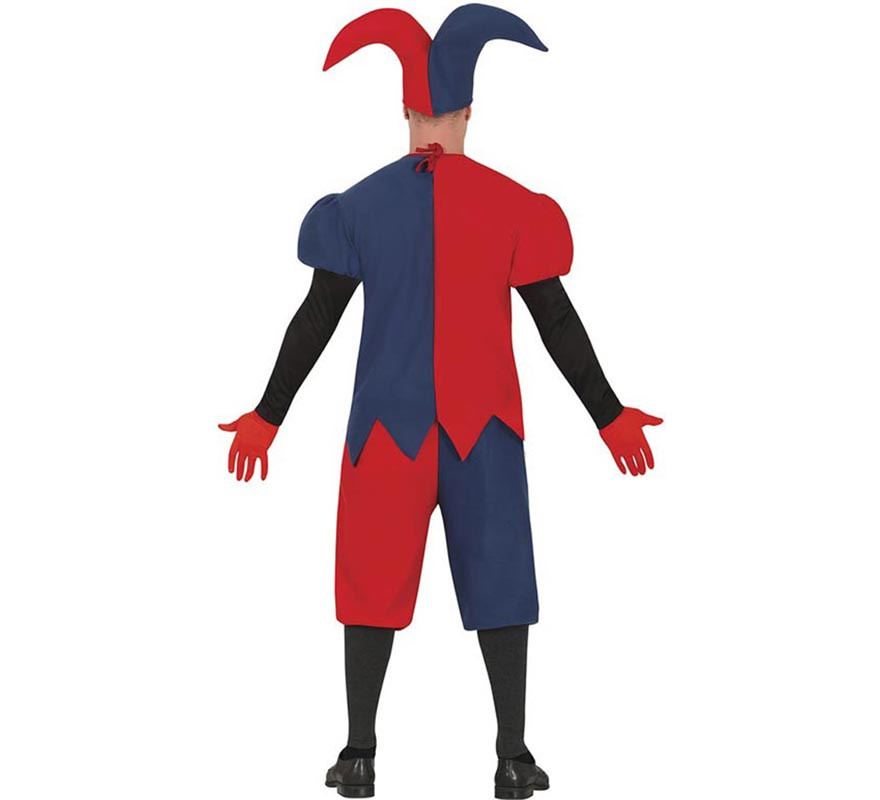 Red and blue Evil Harlequin costume for men-B
