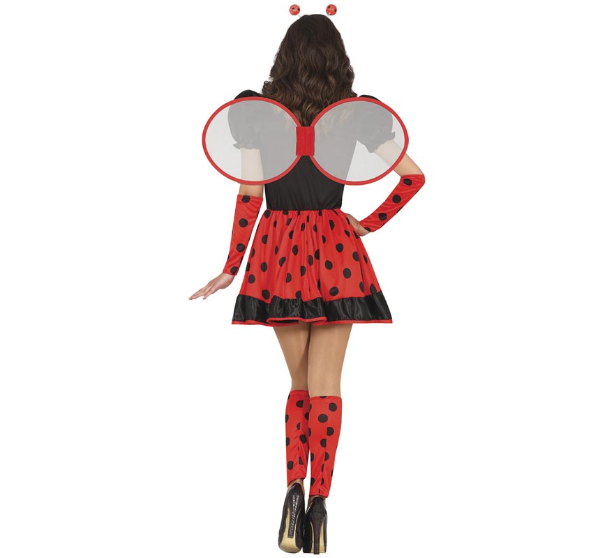 Fato chique de joaninha para mulher-B