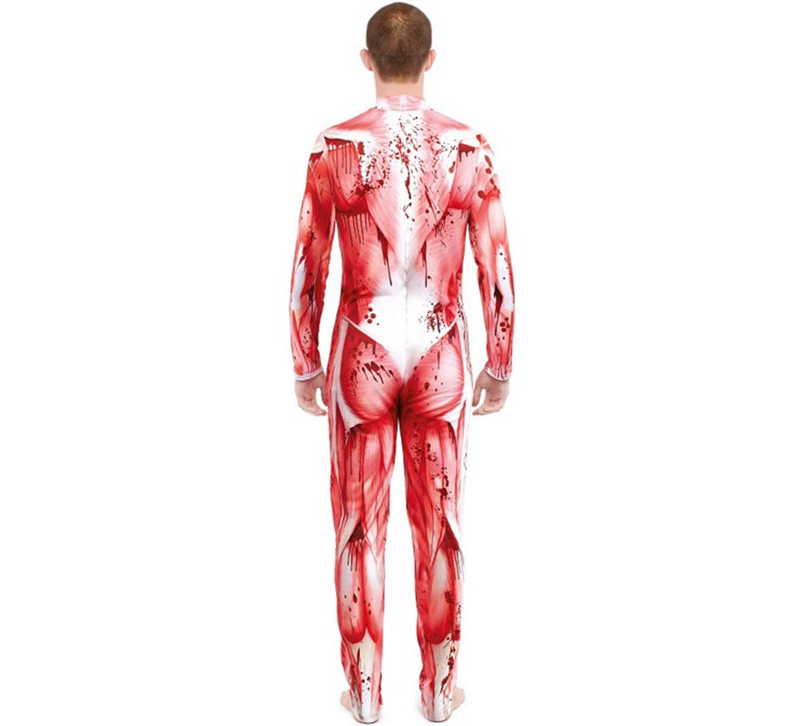 Anatomical Model with Muscles Costume for Men-B