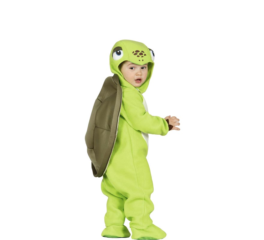 Fato de tartaruga bebê-B