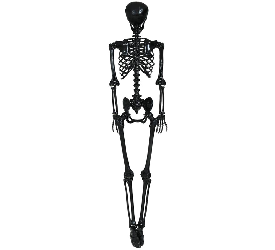 Black skeleton 160 cm-B