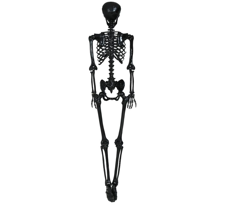 Black skeleton 90 cm-B