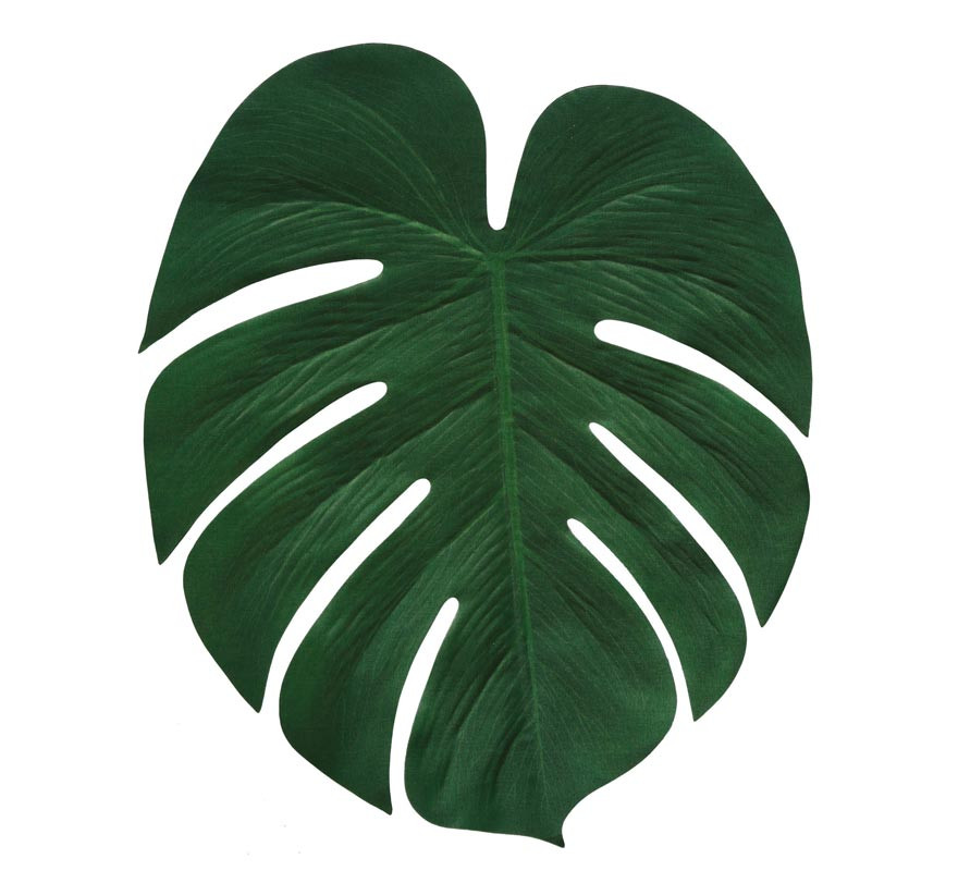Kit de 4 Folhas de Palmeira de 34x30 cm-B