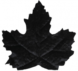 24 folhas de abóbora preta