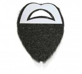 Bigode e barba grisalha